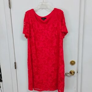 RN Studio Red Lace Sheath Dress Size 20W